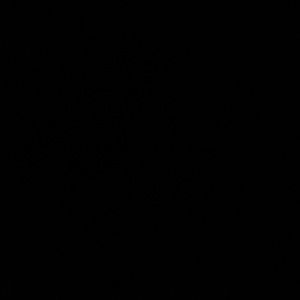 Meet your Posher, Isabelle